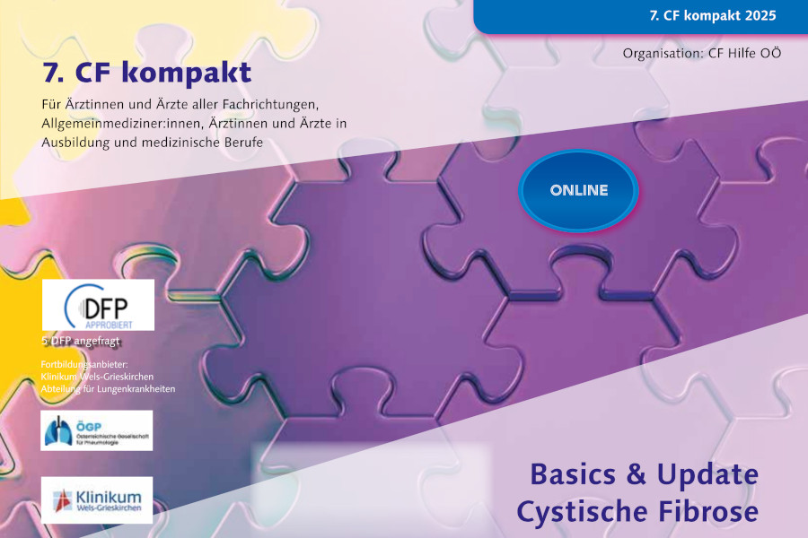 Cover von Einladung CF kompat 2025. Puzzleteile in violett-lila-gelb gefärbt
