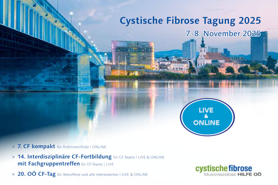 Einladungscover CF Tagung OÖ 2025. Linz - Blick auf Nibelungenbrücke und Urfahr