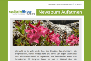 pinkfarbene Gebirgsblumen