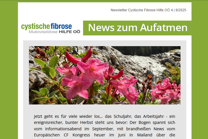 pinkfarbene Gebirgsblumen
