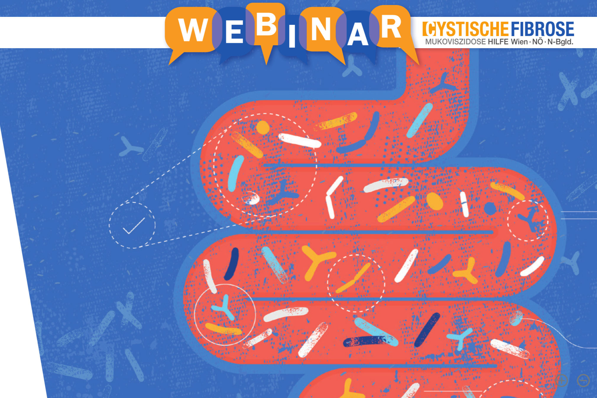 Grafische Darstellung eines Darms, in dem bunte Striche und Formen symbolisch Mikroorganismen des Mikrobioms darstellen. Darüber steht in großen Buchstaben „Webinar“. Rechts oben ist das Logo der „Cystische Fibrose – Mukoviszidose Hilfe Wien · NÖ · N-Bgld.“ zu sehen.