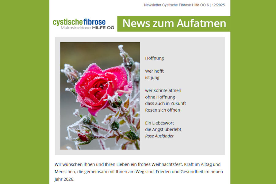 Screenshot vom oberen Teil des Newsletters 6/2025 (gefrorene Rose) der CF Hilfe OÖ