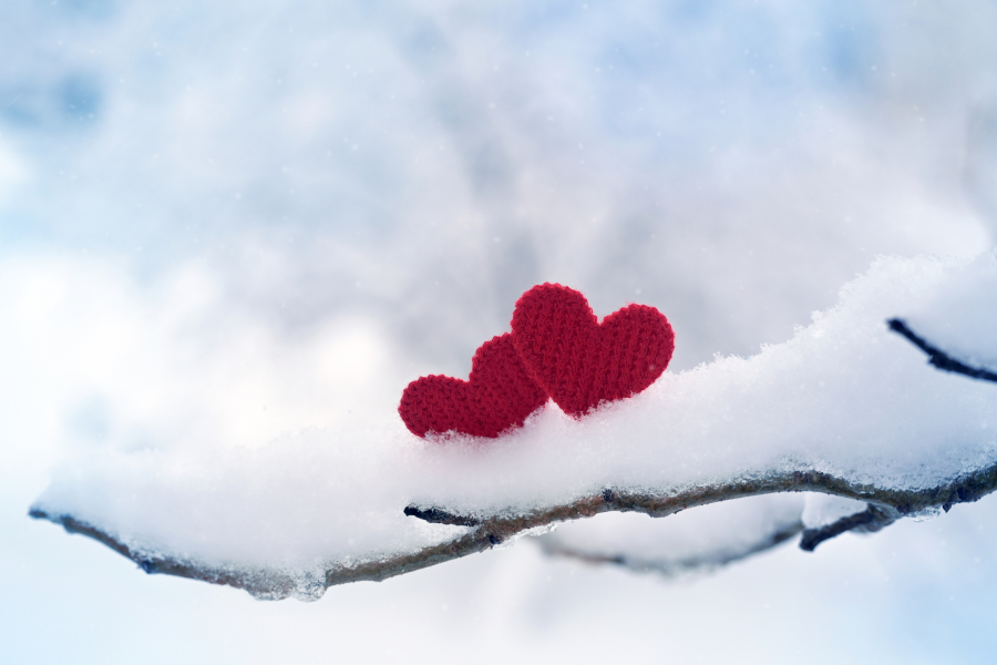 Rote Herzen auf verschneitem Ast im Winter