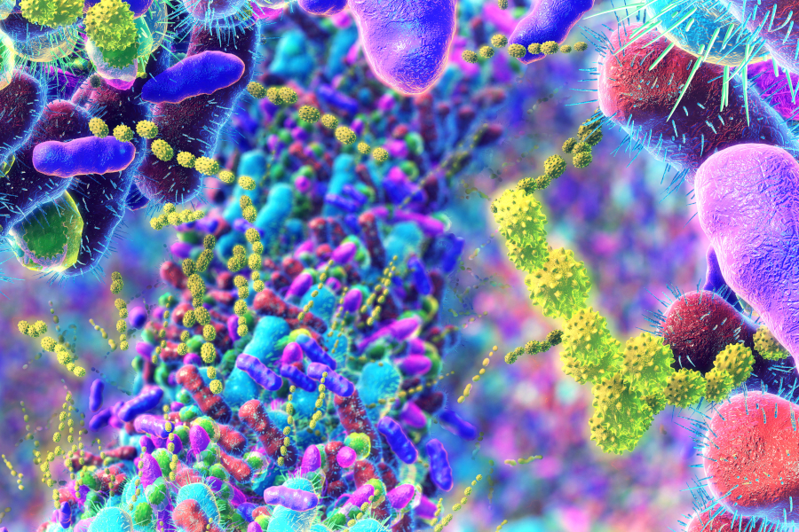 Bakterien im menschlichen Darm.