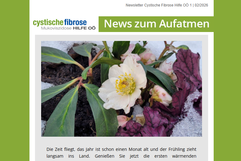 Screenshot vom obersten Teil des Newsletters 1/2026 der CF Hilfe OÖ. Am Foto ist eine Schneerose im Schnee.